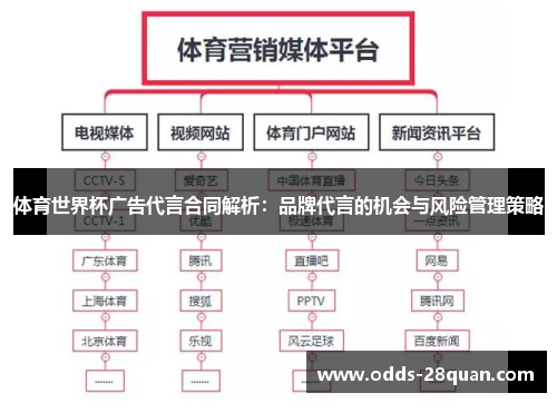 体育世界杯广告代言合同解析：品牌代言的机会与风险管理策略