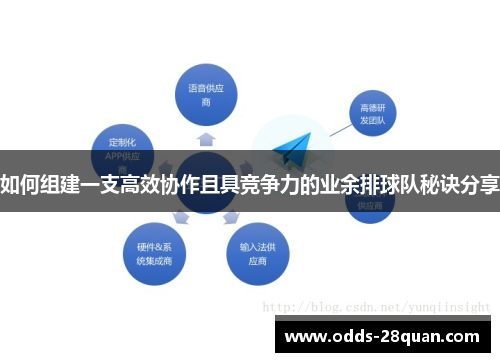 如何组建一支高效协作且具竞争力的业余排球队秘诀分享