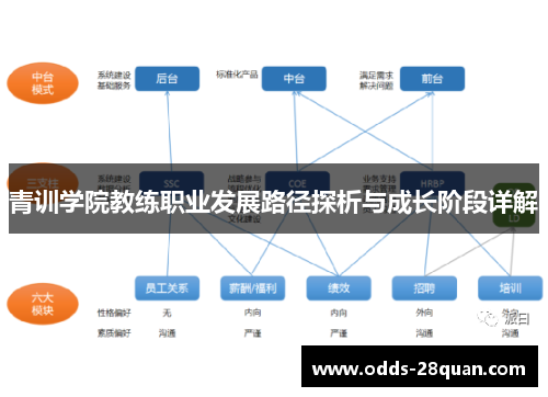 青训学院教练职业发展路径探析与成长阶段详解