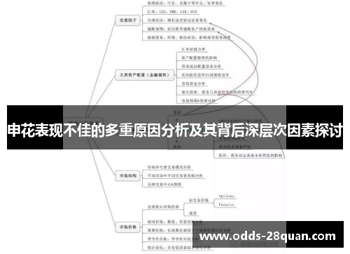 申花表现不佳的多重原因分析及其背后深层次因素探讨