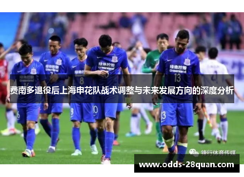 费南多退役后上海申花队战术调整与未来发展方向的深度分析 费南多退役后上海申花队战术调整与未来发展方向的深度分析